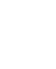 Memphis Grizzlies