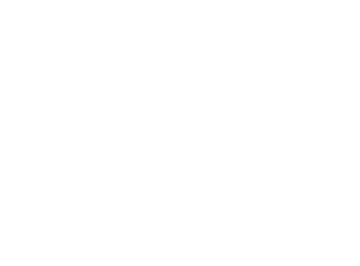 Scouting America