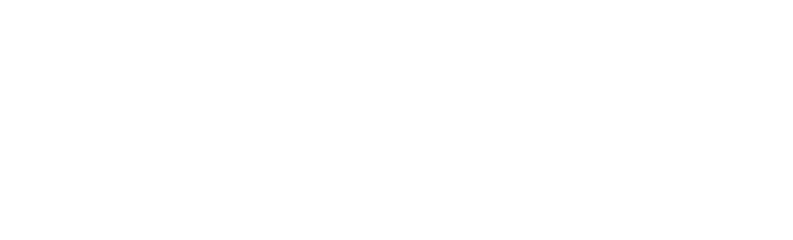 The Black Institute